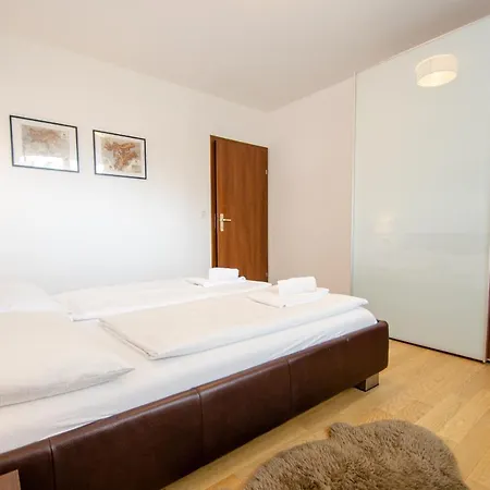 Ski In/ski Out Cityxpress Appartement Zell am See